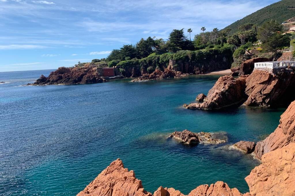 Cap Neree Petit Coin De Paradis Pieds Dans L Eau Saint-Raphaël Eksteriør bilde